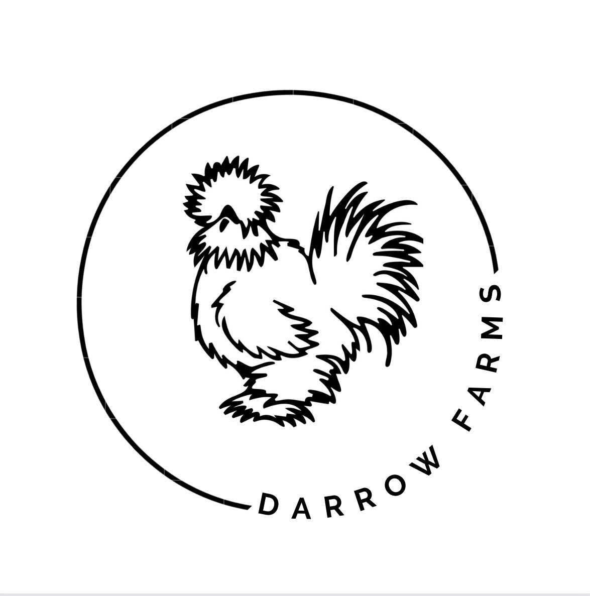 Custom 20 oz. Tumbler